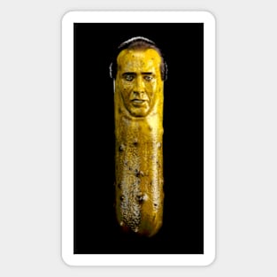 Nicolas Cage Magnet